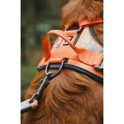 Hurtta Weekend Warrior Geschirr -Haustierprodukte hurtta weekend warrior harness 189096 0500 none