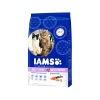 IAMS Adult Multi-Cat -Haustierprodukte iams adult multi cat 219638 0500 none