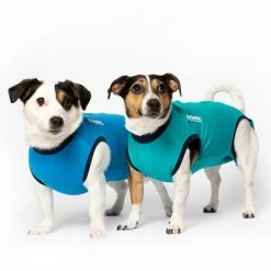 Jacketz Medical Body Suit Für Hunde 7 Jacketz Medical Body Suit Für Hunde -Haustierprodukte jacketz medical body suit hond 209516 0500 none