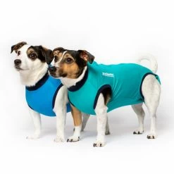 Jacketz Medical Body Suit Für Hunde 8 Jacketz Medical Body Suit Für Hunde -Haustierprodukte jacketz medical body suit hond 209519 0500 none