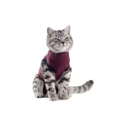 Jacketz Medical Body Suit Für Katzen -Haustierprodukte jacketz medical body suit kat 154129 0500 none