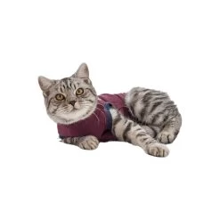 Jacketz Medical Body Suit Für Katzen -Haustierprodukte jacketz medical body suit kat 154147 0500 none