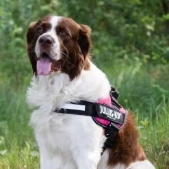 Julius K9 IDC Powergeschirr -Haustierprodukte julius k9 idc powertuig 192695 0500 none