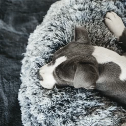 Kentucky Dogwear - Comfort Donut-Hundekorb -Haustierprodukte kentucky dogwear comfort donut hondenmand 219723 0500 none