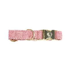 Kentucky Dogwear Hundehalsband Wool -Haustierprodukte kentucky dogwear hondenhalsband wool 219709 0500 none