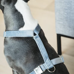 Kentucky Dogwear Hundegeschirr Velvet Loop 14 Kentucky Dogwear Hundegeschirr Velvet Loop -Haustierprodukte kentucky dogwear hondenharnas velvet loop 219286 0500 none