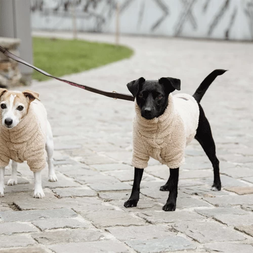 Kentucky Dogwear Hundejacke Teddy Fleece 6 Kentucky Dogwear Hundejacke Teddy Fleece – Bild 4