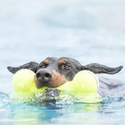 KONG AirDog Squeaker Bone -Haustierprodukte kong airdog squeaker bone 219531 0500 none