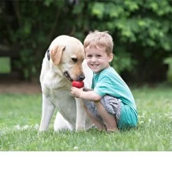 KONG Classic 17 KONG Classic -Haustierprodukte kong classic 98642 0500 none