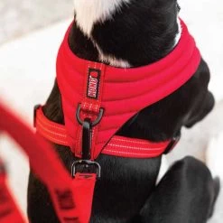 KONG Comfort Harness -Haustierprodukte kong comfort harness zwart 178774 0500 none