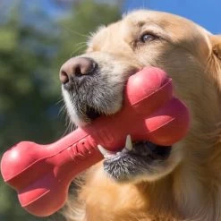 KONG Goodie Bone -Haustierprodukte kong goodie bone 194186 0500 none