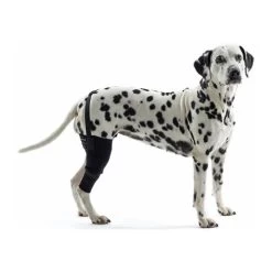 Kruuse Rehab Knieschutz