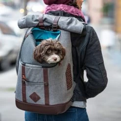 Kurgo K9 Rucksack 9 Kurgo K9 Rucksack -Haustierprodukte kurgo k9 rugzak 208103 0500 none