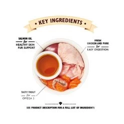 Lily's Kitchen Smooth Paté Kätzchenfutter - Schale 6 Lily's Kitchen Smooth Paté Kätzchenfutter - Schale -Haustierprodukte lilys kitchen smooth pat kitten kattenvoer kuipje 194747 0500 none