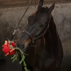 Maximus Fun Play Ball Für Pferde -Haustierprodukte maximus fun play ball voor paarden 207833 0500 none