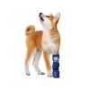 Medical Pet Shirt Boot -Haustierprodukte medical pets boot 167479 0500 none