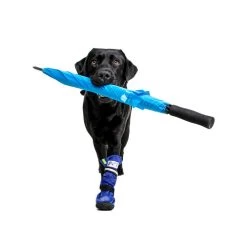 Medical Pet Shirt Boot -Haustierprodukte medical pets boot 167482 0500 none