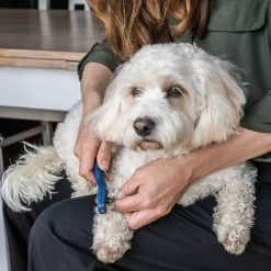 Mikki Doodle De-Matter -Haustierprodukte mikki doodle de matter 194483 0500 none