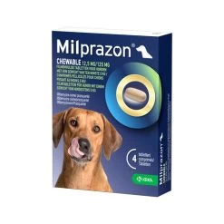 Milprazon Chewable Hund -Haustierprodukte milprazon chewable hond 206285 0500 none