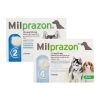Milprazon Für Hunde -Haustierprodukte milprazon hond 134047 0500 none