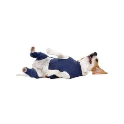 MPS-HLS Hinterbeinschutz -Haustierprodukte mps hls achterpootmouwtjes 167440 0500 none