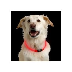 Nite Ize NiteHowl LED Safety Necklace -Haustierprodukte nite ize nitehowl led safety necklace 89526 0500 none