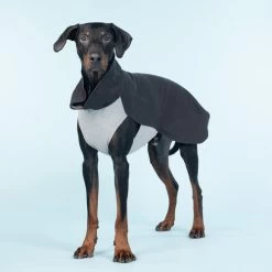 PAIKKA Recovery Winter Shirt -Haustierprodukte paikka recovery winter shirt 217788 0500 none