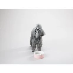 PAIKKA Slow Feed Bowl 13 PAIKKA Slow Feed Bowl -Haustierprodukte paikka slow feed bowl 217878 0500 none