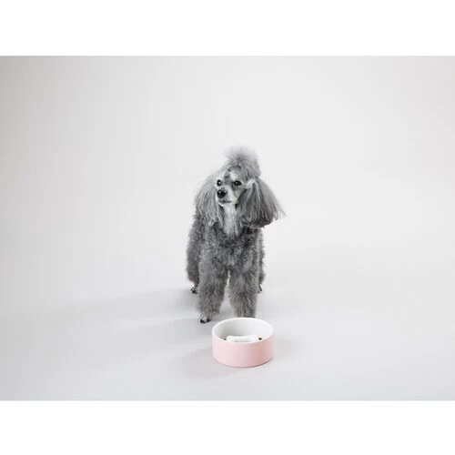 PAIKKA Slow Feed Bowl 5 PAIKKA Slow Feed Bowl – Bild 3