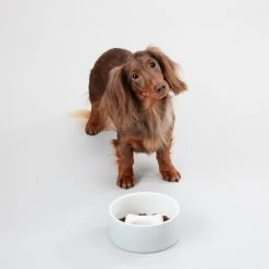 PAIKKA Slow Feed Bowl 17 PAIKKA Slow Feed Bowl -Haustierprodukte paikka slow feed bowl 217879 0500 none