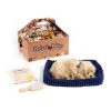 Perfect Petzzz Soft Golden Retriever -Haustierprodukte perfect petzzz soft golden retriever 151225 0500 none