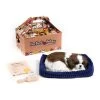 Perfect Petzzz Soft Shih Tzu -Haustierprodukte perfect petzzz soft shih tzu 150781 0500 none