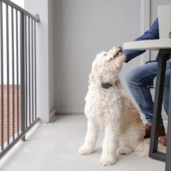 PetSafe Anti-Bell-Halsband 9 PetSafe Anti-Bell-Halsband -Haustierprodukte petsafe anti blafhalsband 208109 0500 none