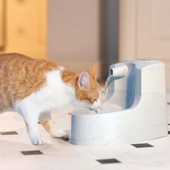 Petsafe Drinkwell Mini-Trinkbrunnen -Haustierprodukte petsafe drinkwell mini drinkfontein 12 l 208064 0500 none