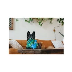 P.L.A.Y. Fetching Flock - Peacock -Haustierprodukte play fetching flock peacock 182614 0500 none