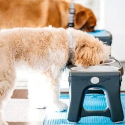 Popware Adjustable Height Pet Feeder -Haustierprodukte popware adjustable height pet feeder 164587 0500 none