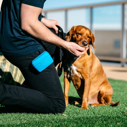 Popware Pooch Pouch Treatbag 6 Popware Pooch Pouch Treatbag – Bild 4