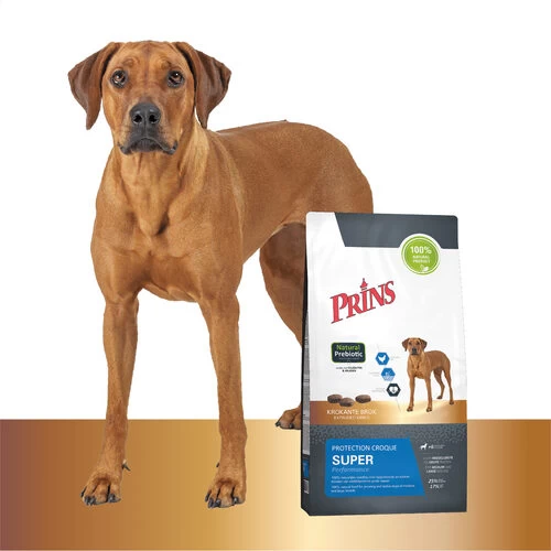 Prins Protection Croque Super Performance 4 Prins Protection Croque Super Performance – Bild 2