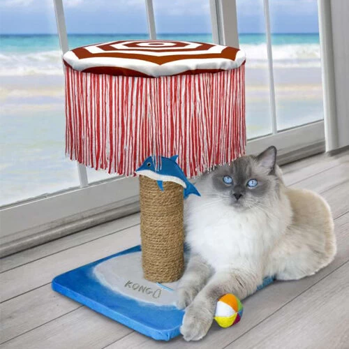 KONG Play Spaces CATbana 4 KONG Play Spaces CATbana – Bild 2