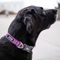 DOG Copenhagen Urban Style Halsband -Haustierprodukte prod 15937 220286 0500 none