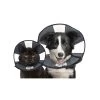 ZenPet Zen Collar 1 ZenPet Zen Collar -Haustierprodukte prod 5332 89019 0500 none