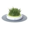 Catit Senses Katzengrassamenset -Haustierprodukte product catit senses grass garden none 4 1465980046 69879