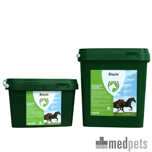 Excellent Biozin Für Pferde 3 Excellent Biozin Für Pferde