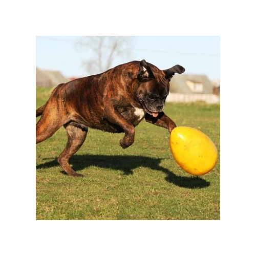 Jolly Egg 7 Jolly Egg – Bild 5