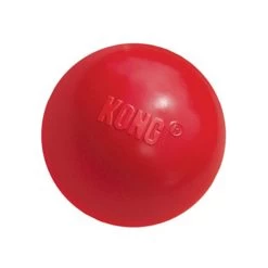 KONG Ball -Haustierprodukte product kong ball none 4 1466058812 69915