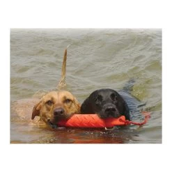 KONG Training Dummy 13 KONG Training Dummy -Haustierprodukte product kong training dummy none 4 1469627104 71971