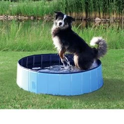 Trixie Hundepool -Haustierprodukte product trixie dog pool none 4 1495792779 86689