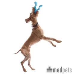 Zogoflex Tizzi - Dog Toy 6 Zogoflex Tizzi - Dog Toy -Haustierprodukte product zogoflex tizzi dog toy medpets 4 1403514194 8230