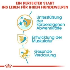 Royal Canin Boxer Puppy - Hundefutter -Haustierprodukte royal canin boxer puppy hondenvoer 137482 0500 none