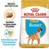 Royal Canin Boxer Puppy - Hundefutter -Haustierprodukte royal canin boxer puppy hondenvoer 140465 0500 none